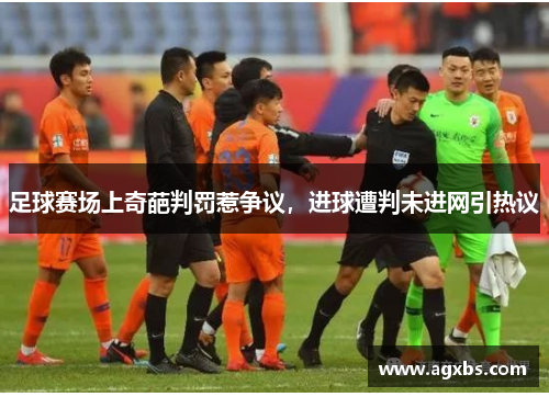 足球赛场上奇葩判罚惹争议，进球遭判未进网引热议